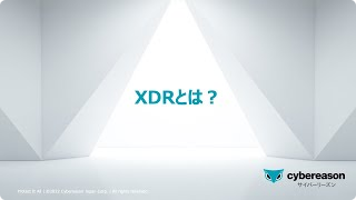 XDRとは？