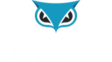 サイバーリーズン